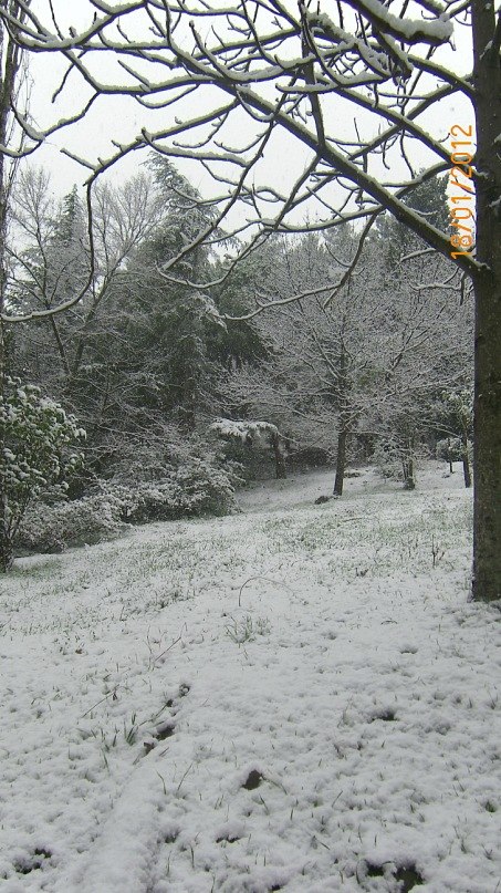 Валентина Цюпка | Ялта