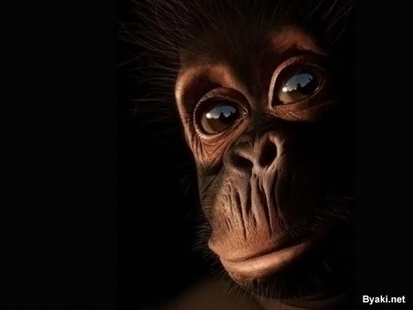 Илья Шубаров | Мегион