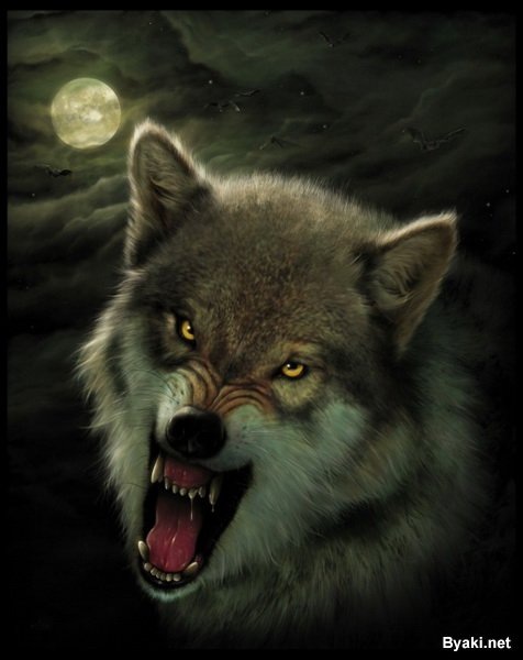 №118, Александр Назаренко, 37 лет, Киев №118, Александр Назаренко, 37 лет, Киев