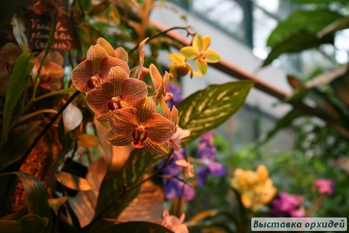 Тина Тина | Москва