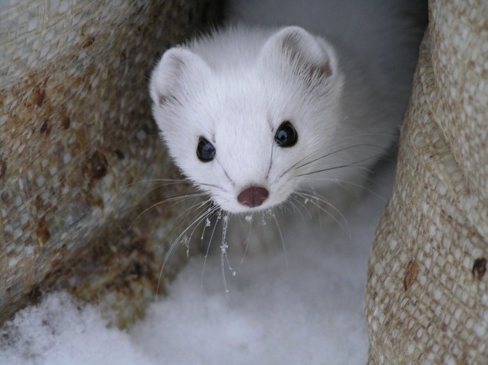 Михаил Сливкин | Новосибирск