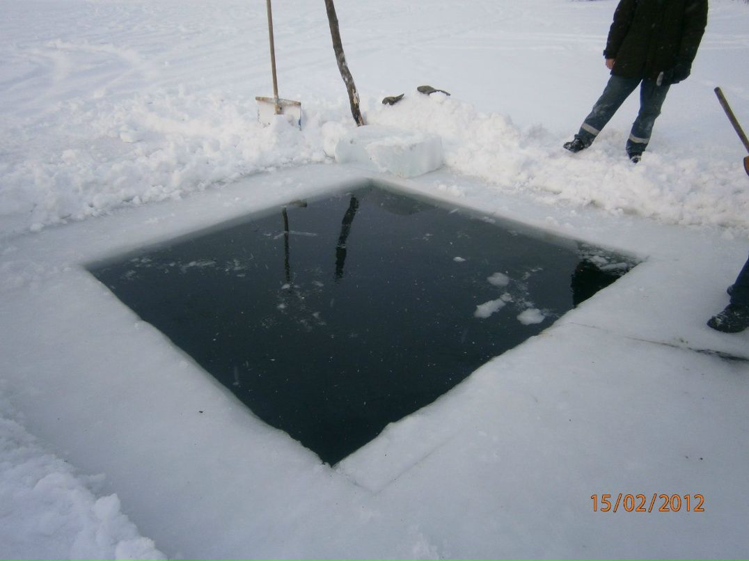 Василий Королев | Вожега