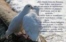 Оля Ерохова, , 26.03