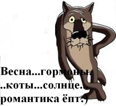 Иван Половец | Воронеж