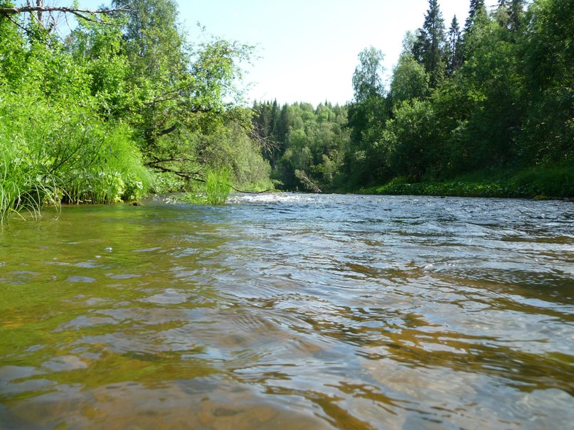 Сергей Мазин | Архангельск