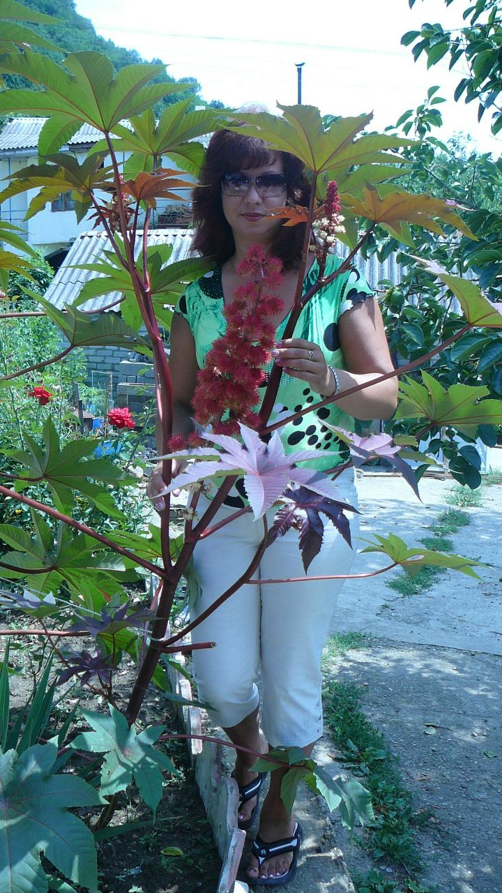 Юлия Волкова | Санкт-Петербург