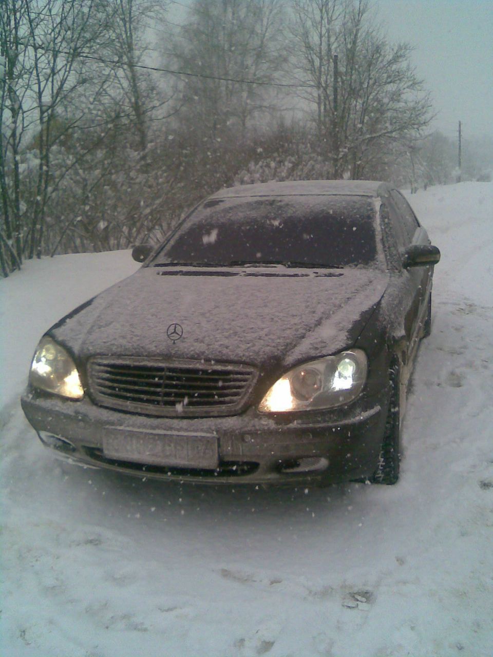 Николай Орехов | Санкт-Петербург