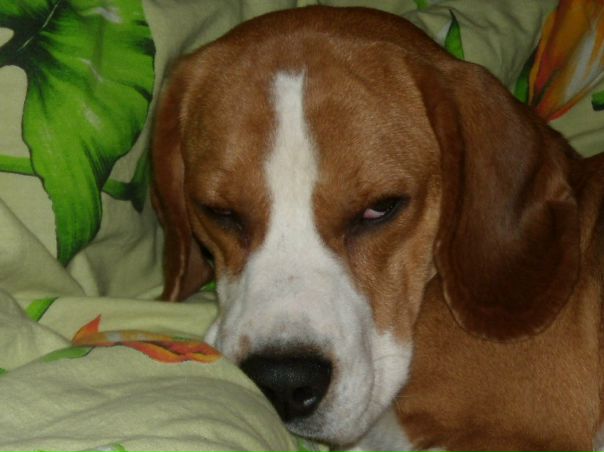 №35, Николай Андронов, 44 года, Москва №35, Николай Андронов, 44 года, Москва