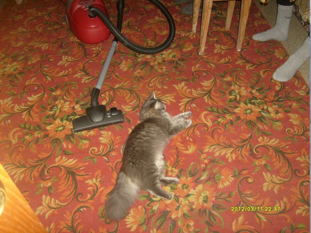 Дмитрий Беленко FOG | Набережные Челны