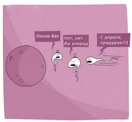 Серж Скиданов | Караганда