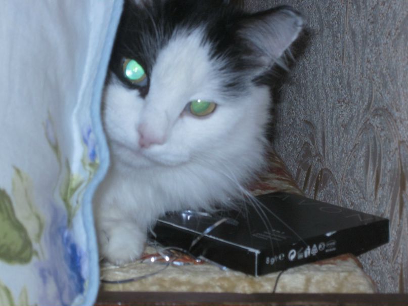 Владимир Кот | Уральск