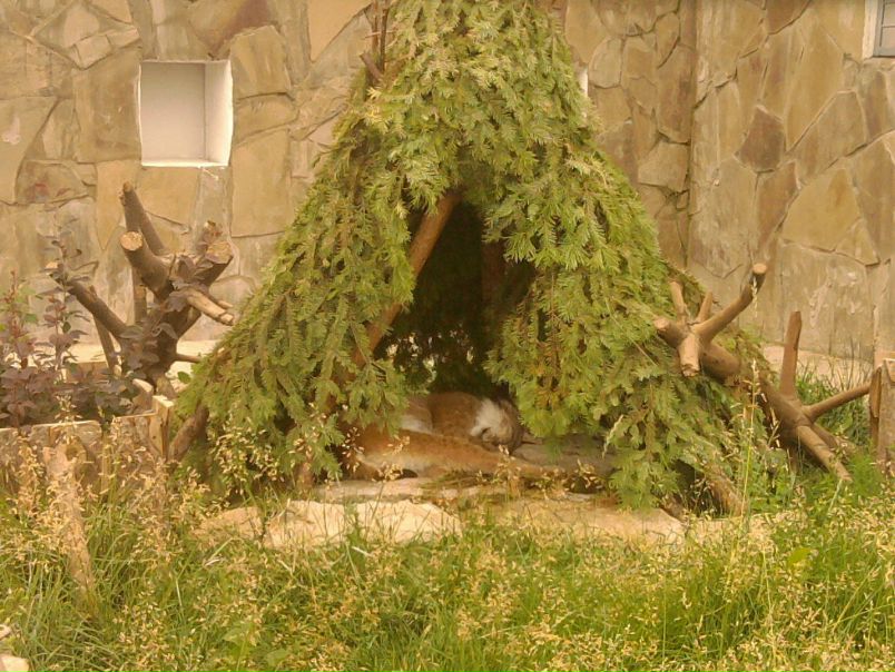 №17, Анна Егорова №17, Анна Егорова