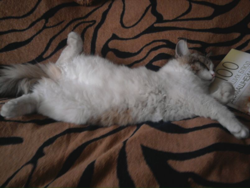 №94, Александра Быватова, Владивосток №94, Александра Быватова, Владивосток