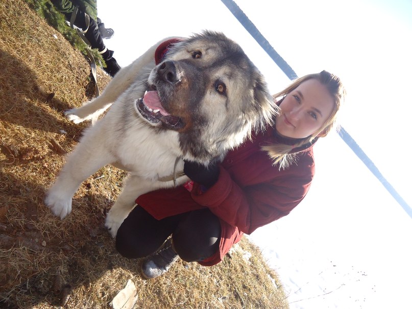 Ксюша Быкова | Нифантово