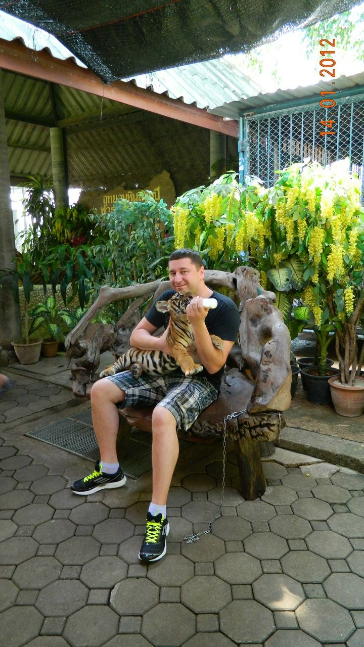 Михаил Потапов | Кострома