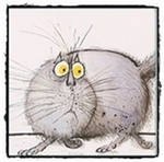 Роман Кижваев | Сергиев Посад