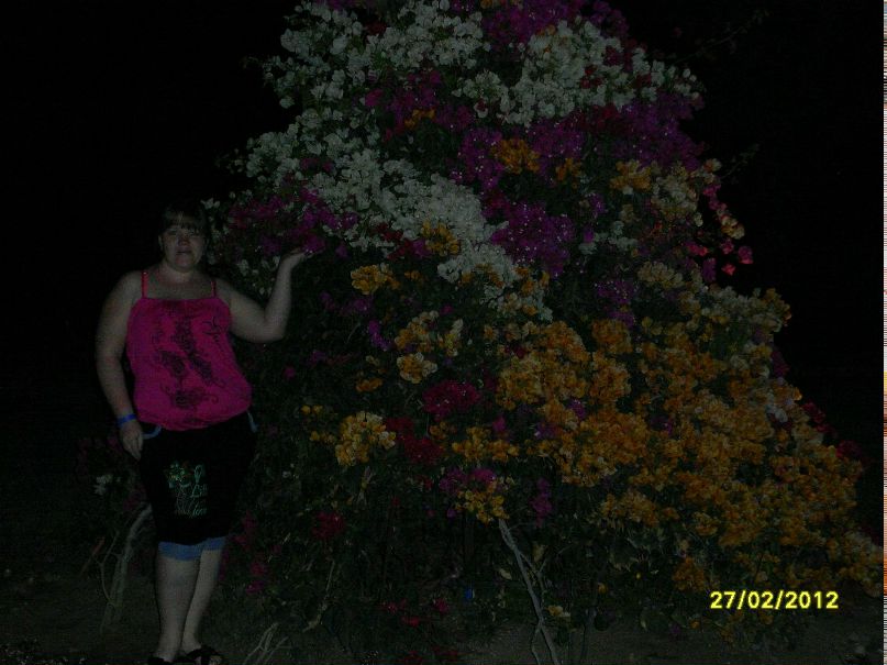 Светлана Зубарева | Балашиха