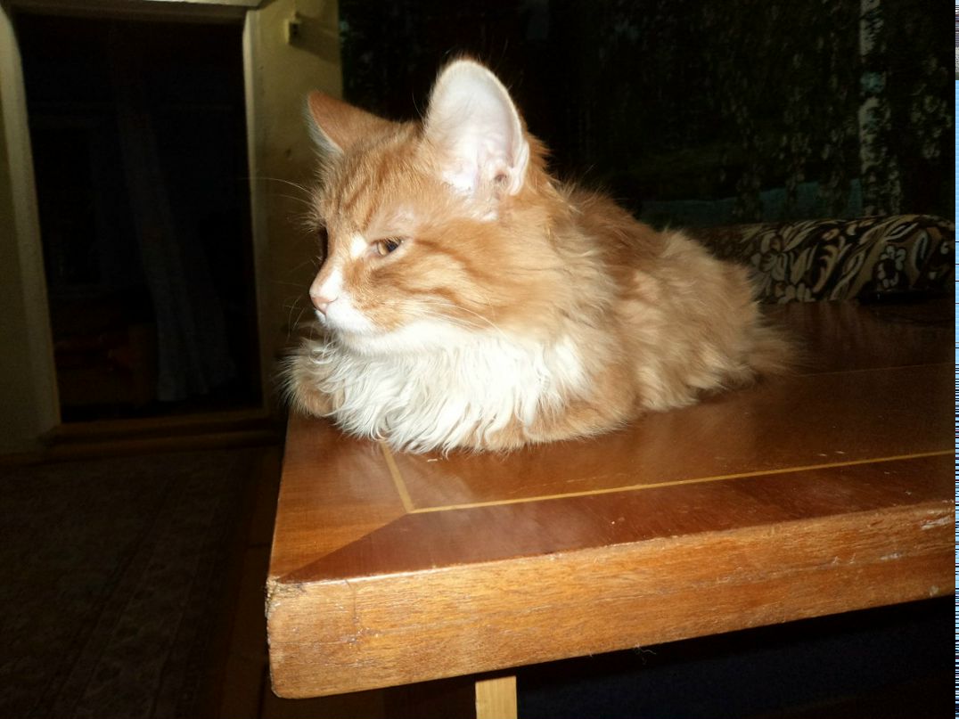 Ольга Кобец | Уфа