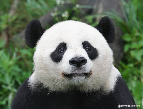 Игорь Смирнов | Санкт-Петербург