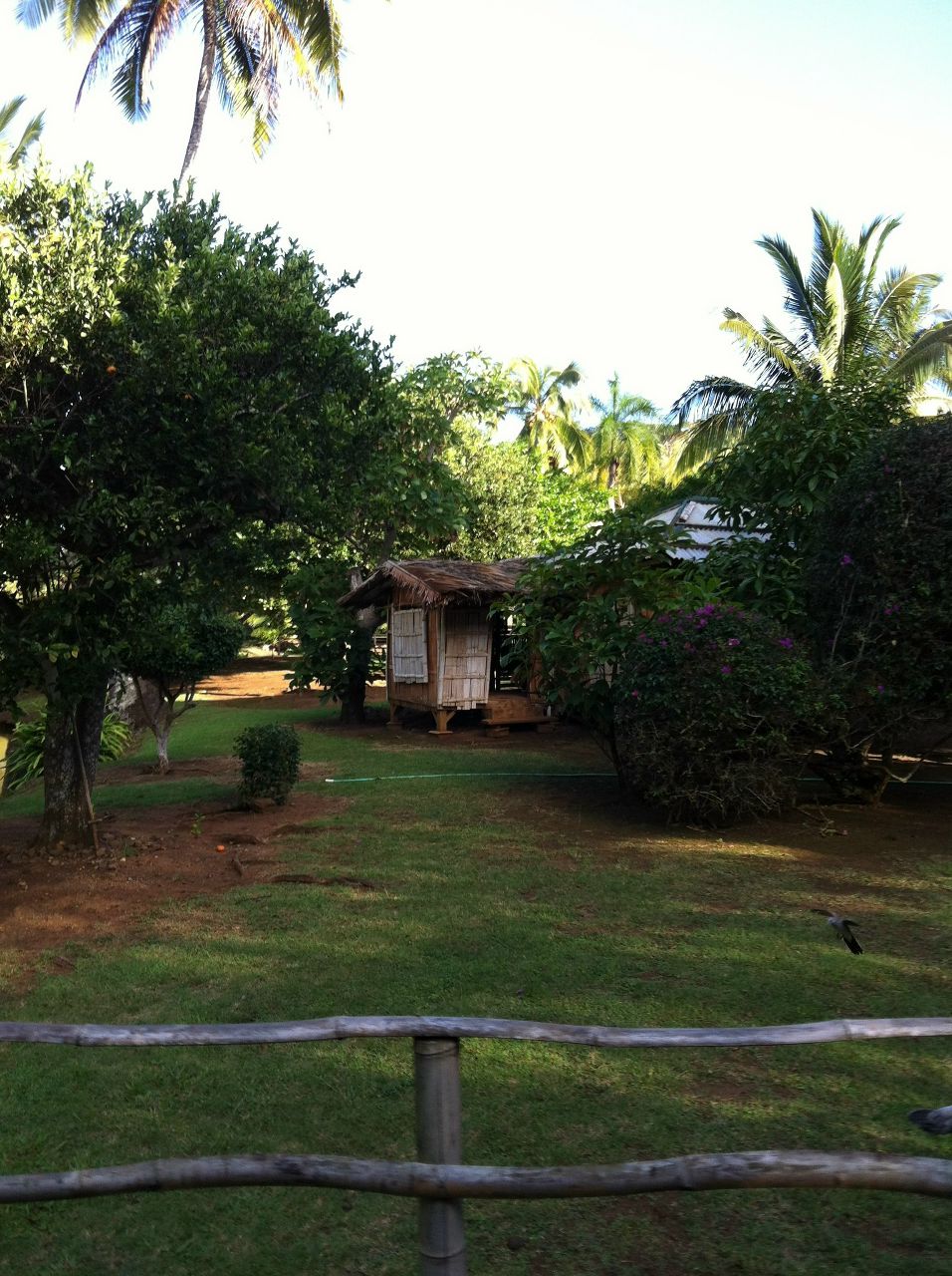 Dmitry Dell | Los Angeles