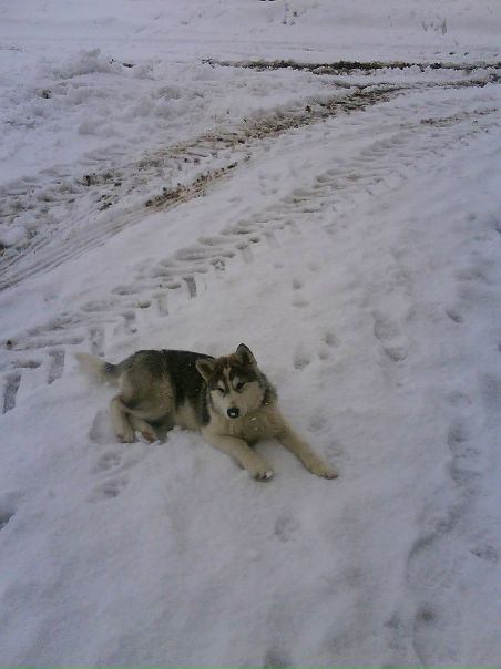 №6, Роман Ермошин №6, Роман Ермошин