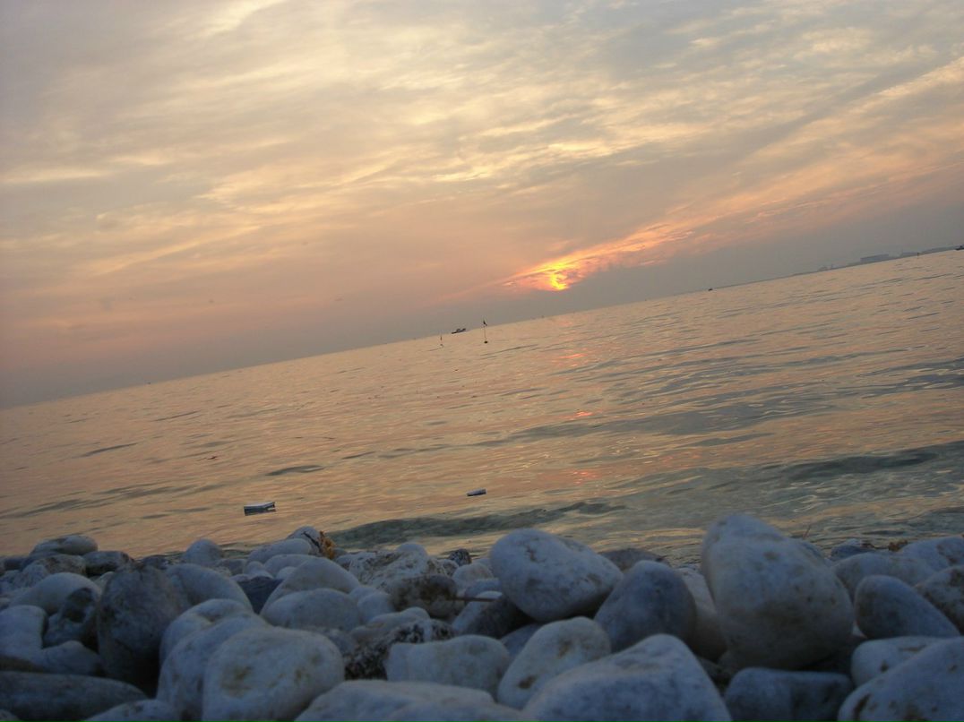 Юлия Ткаченко | Запорожье