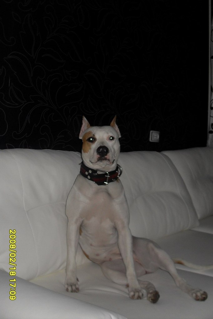 Анна Смородина | Санкт-Петербург