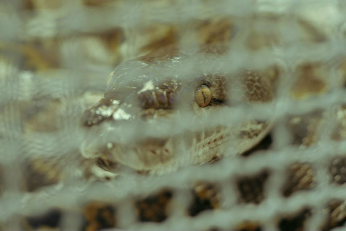 Мария Хандак | Москва