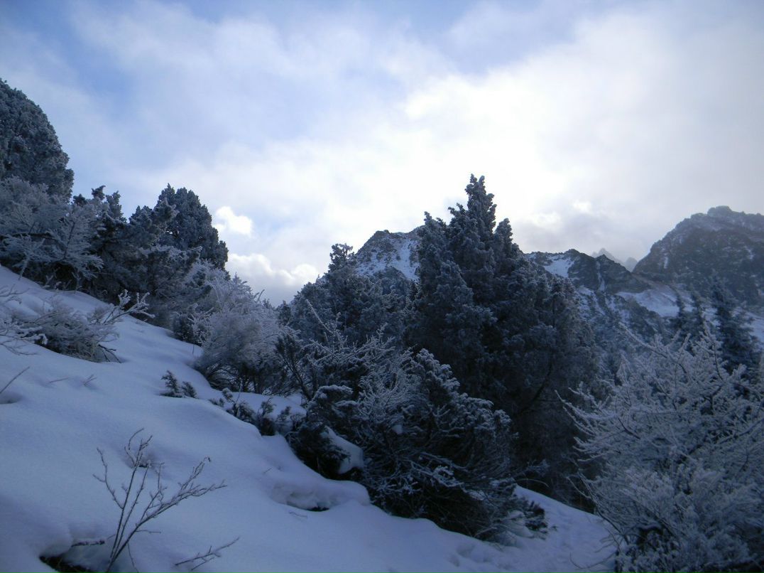 Паша Цветов | 