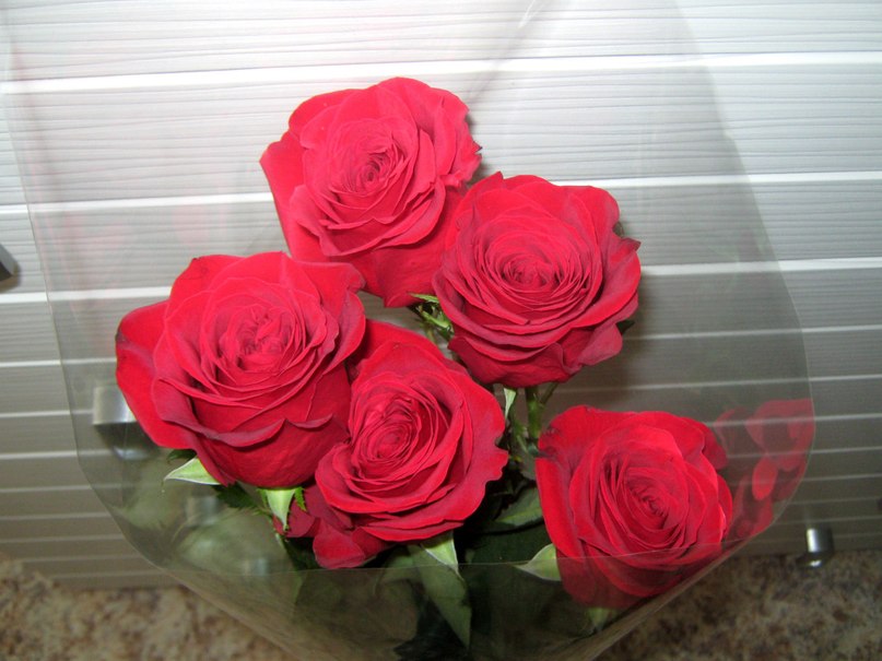 Диана Сафиуллина ♡ | 