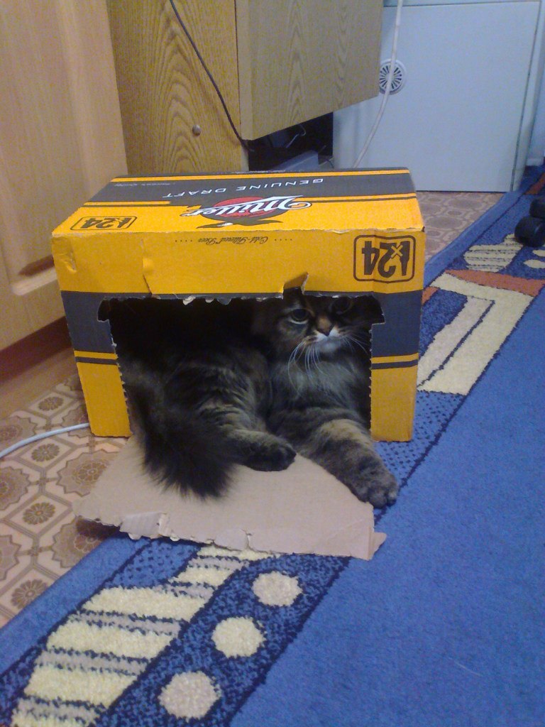 Олег Юрьевич | Тольятти