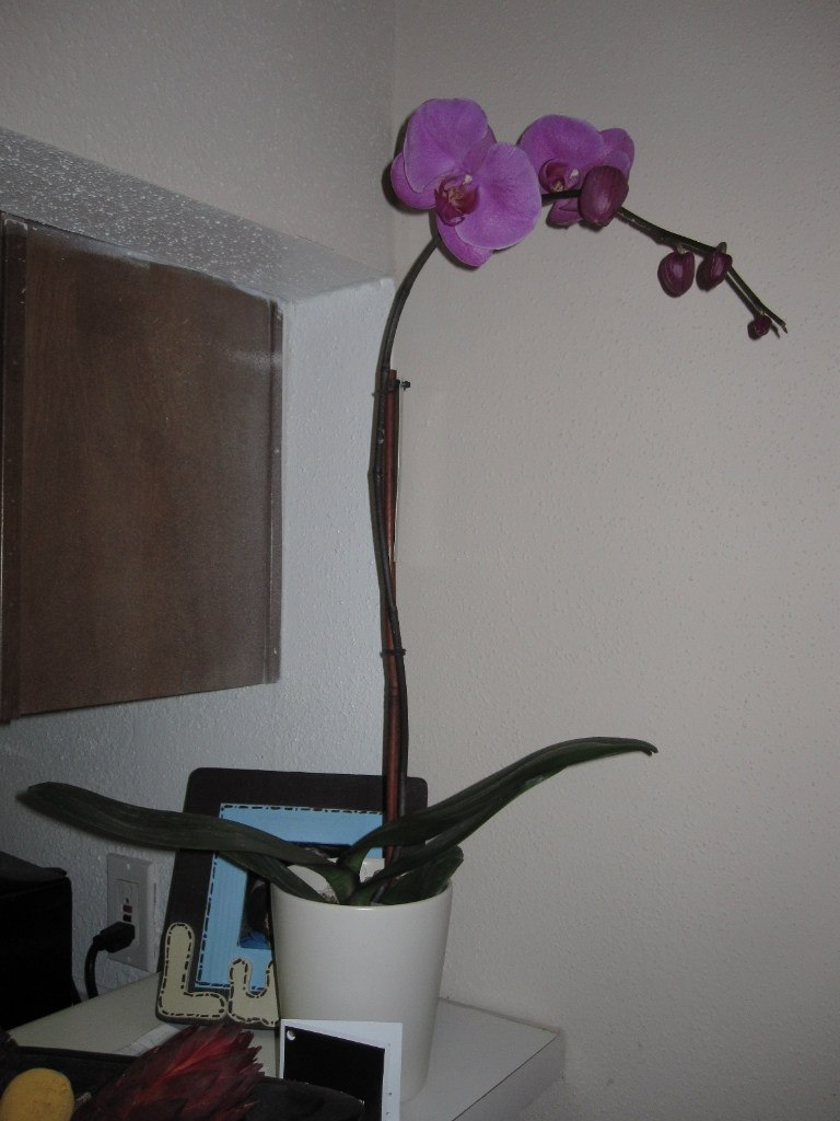 Ekaterina Peskova | Харьков