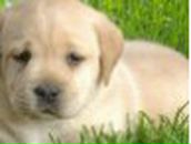 Татьяна Петрова | Красноярск