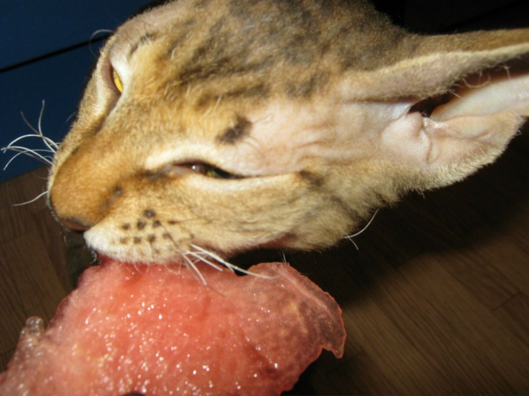 Наталья Загуляева | 