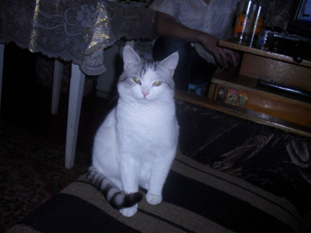 Сергей Асеев | Нижний Новгород