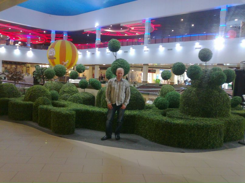 Сергей Холодов | 