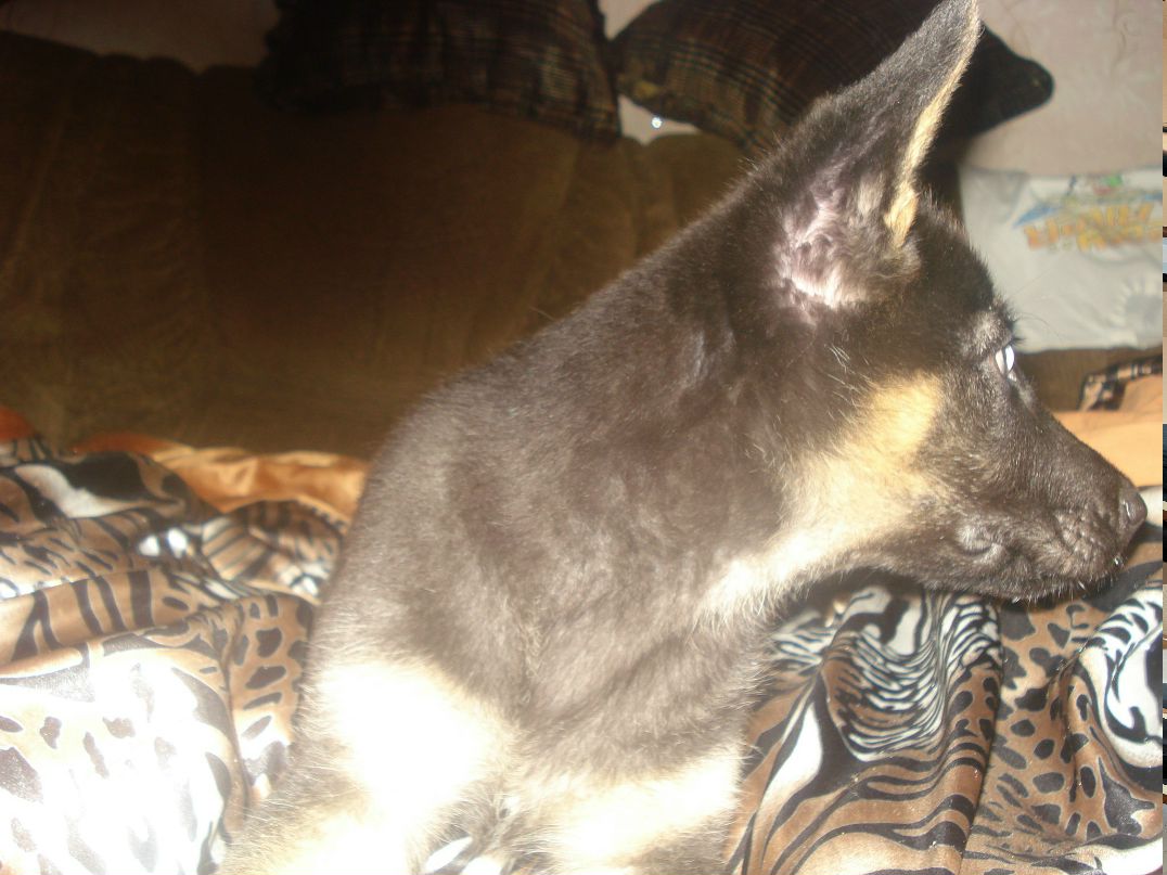 Василий Петров | Павлодар