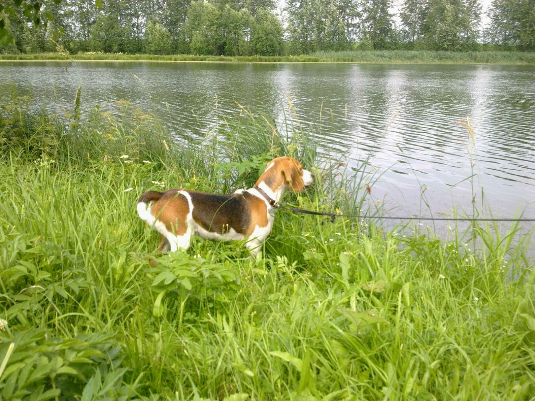 Ann Star ★Red-Haired★ | Москва