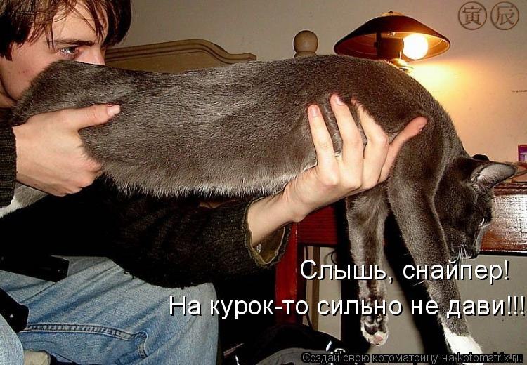 Санёчек Мыжевский $.P.1.R.T. | Запорожье