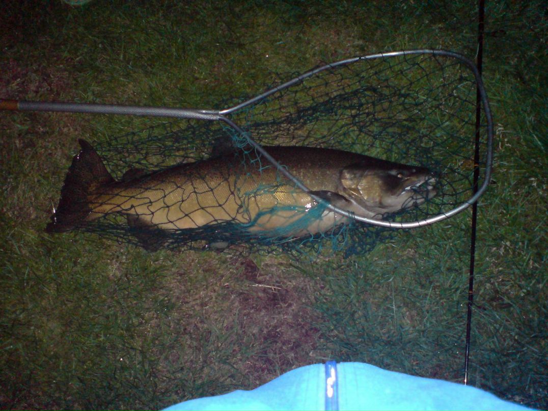 Сергей Сидоренко | Toronto