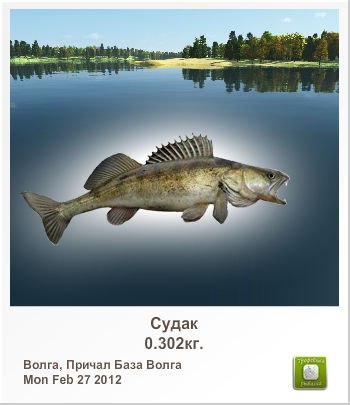 Александр Князев | Мончегорск