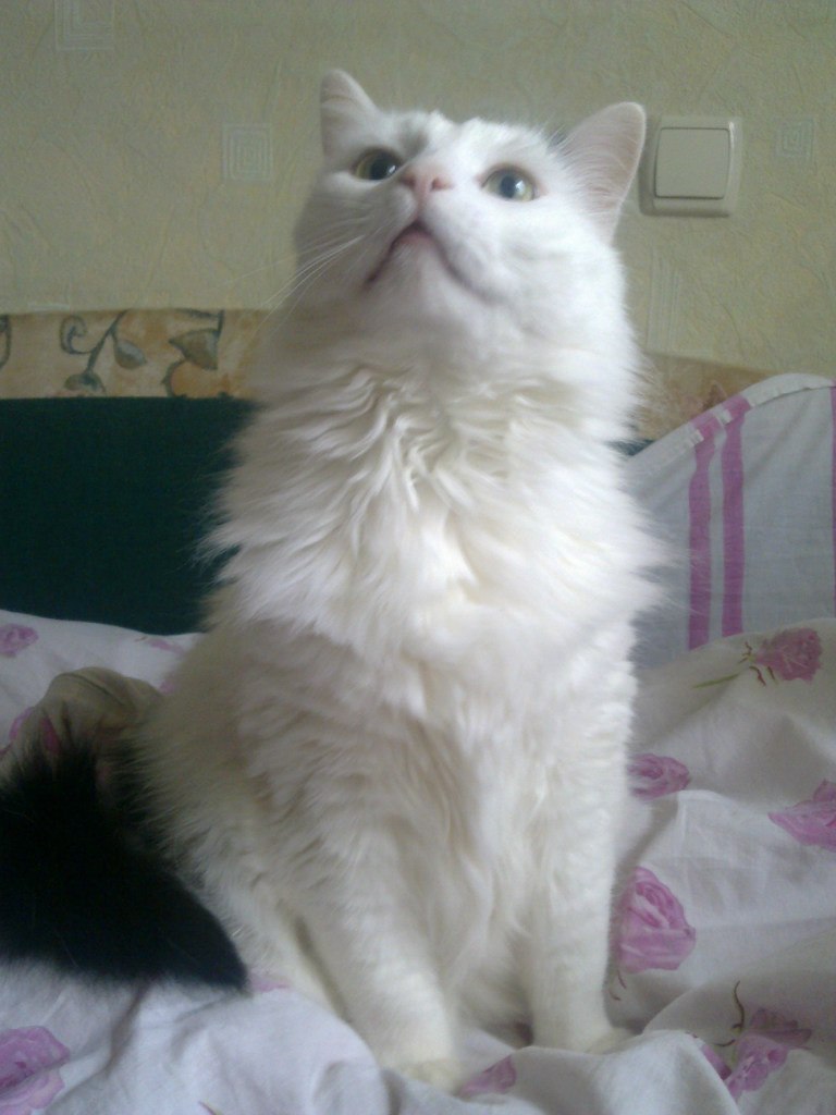 Даша Бастрыкина | Тверь