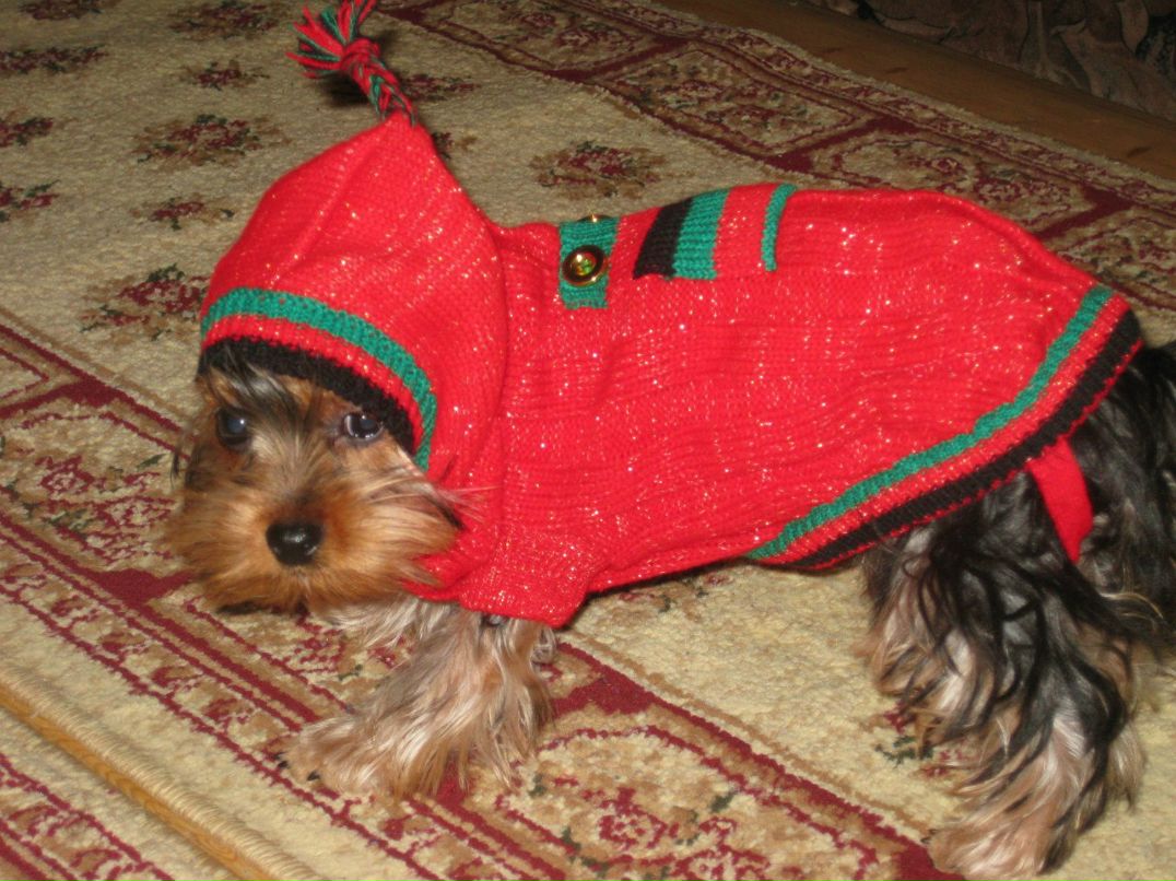 Валя Гердт | Москва