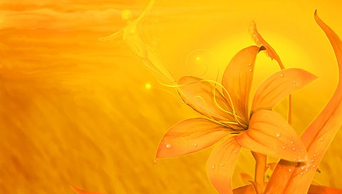 Екатерина Лемох | Казань