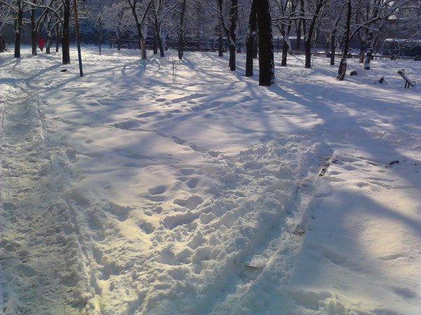 Владимир Бабкин | Москва