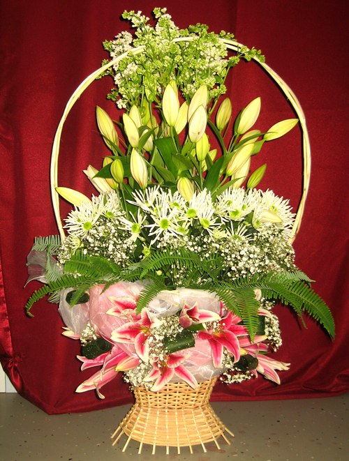 Ирина Герасимова | 