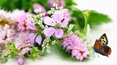 Надія Марценюк | 