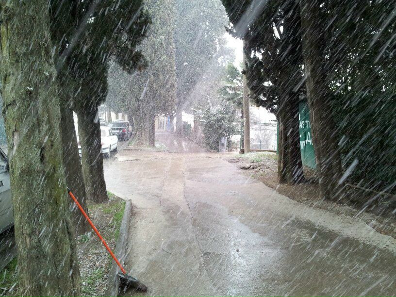 Серёга Колдов | Санкт-Петербург