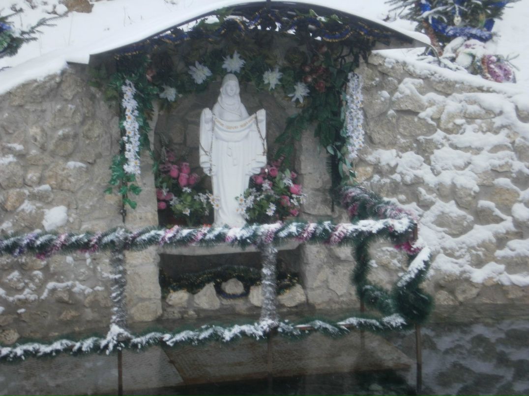 Уляна Королюк | Тернополь