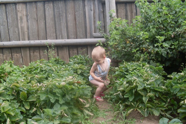 №11, Мария Чиркова №11, Мария Чиркова